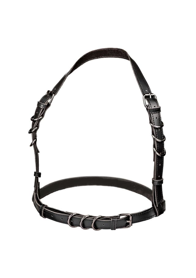 Halter Buckle Harness Plus