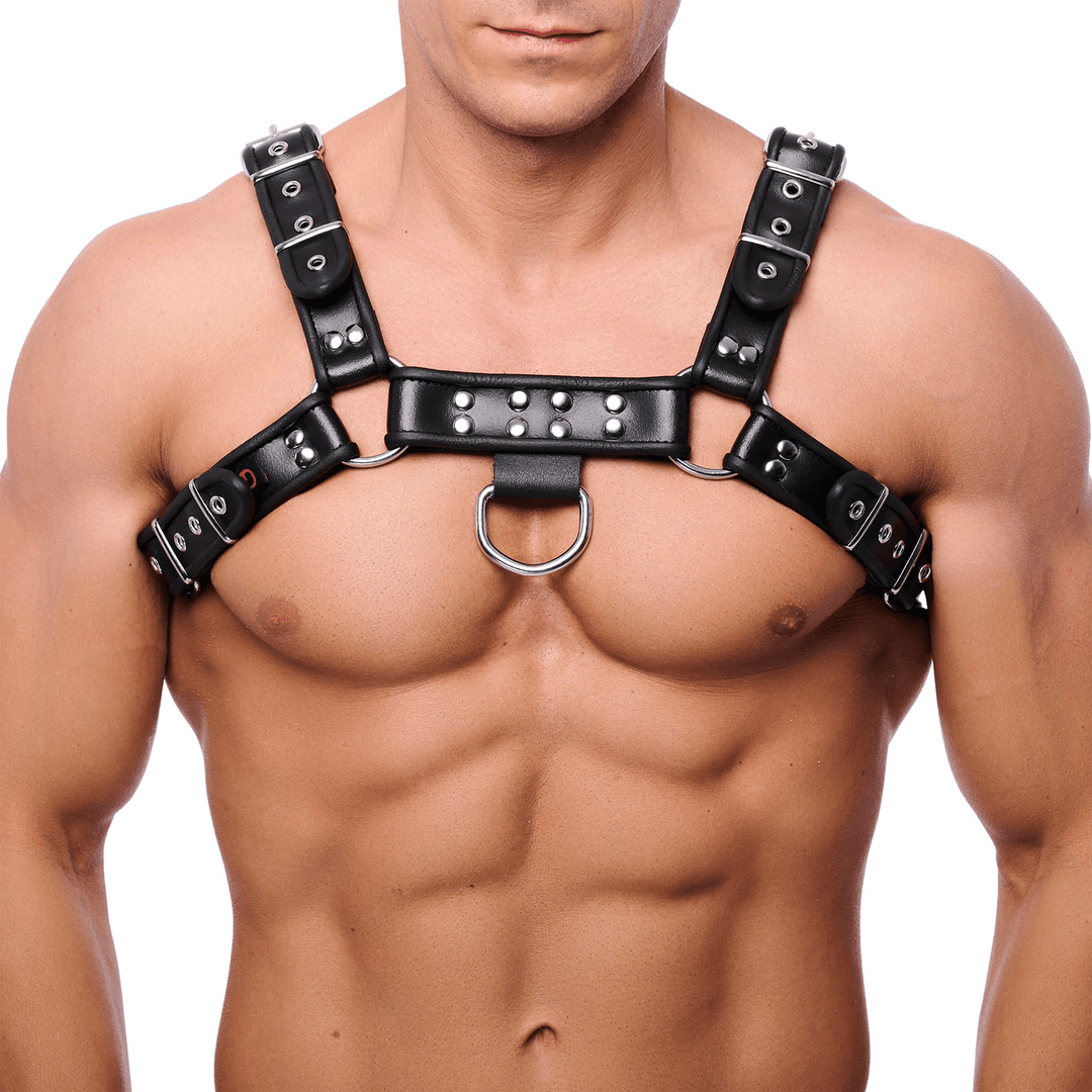 Premium Leather Harness - S/M - Black